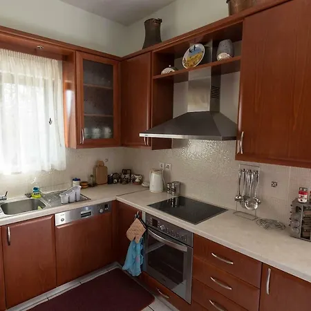 Big Family House In Village * Mesochoria