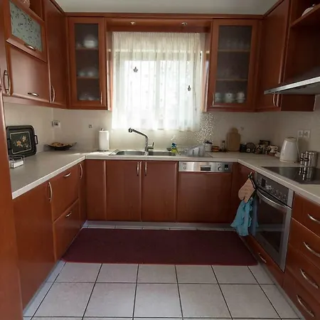 Big Family House In Village * Mesochoria
