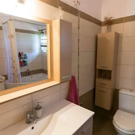 Apartment Big Family House In Village Mesochoria