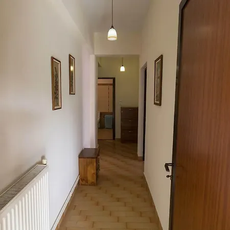 Big Family House In Village Apartment