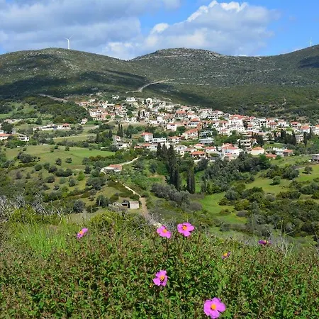 דירה Big Family House In Village