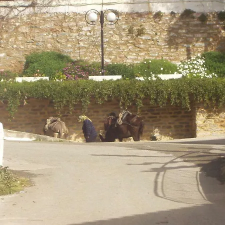 Big Family House In Village