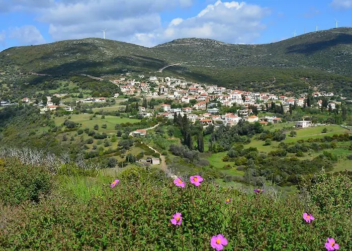 Apartment Big Family House In Village